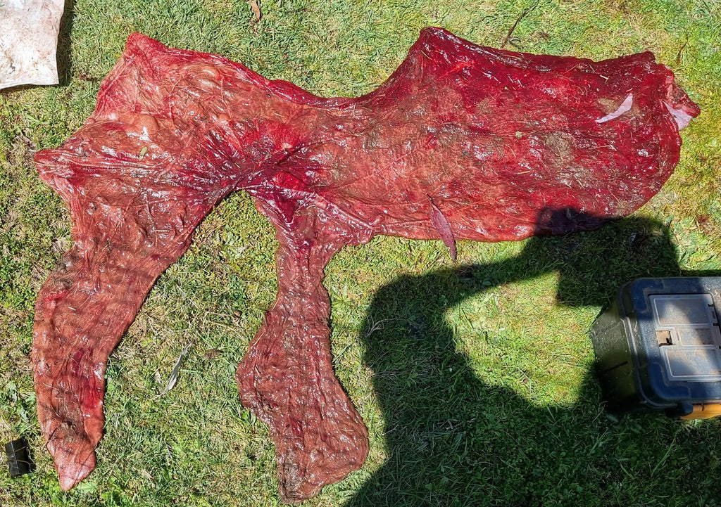 Placenta assessment